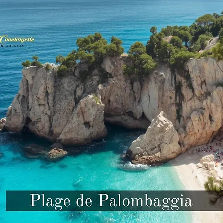 12 Pers Au Centre De Porto-vecchio Avec Piscine فيلة *