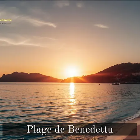 12 Pers Au Centre De Porto-vecchio Avec Piscine فيلة *