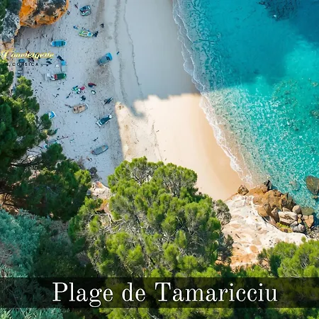 12 Pers Au Centre De Porto-vecchio Avec Piscine فيلة *